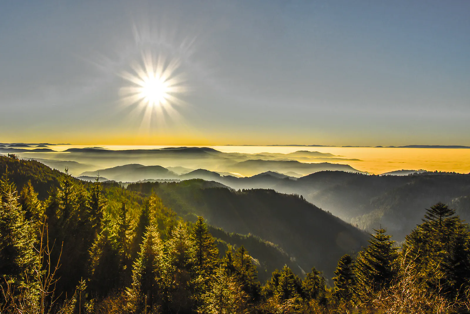 AdobeStock_212900326