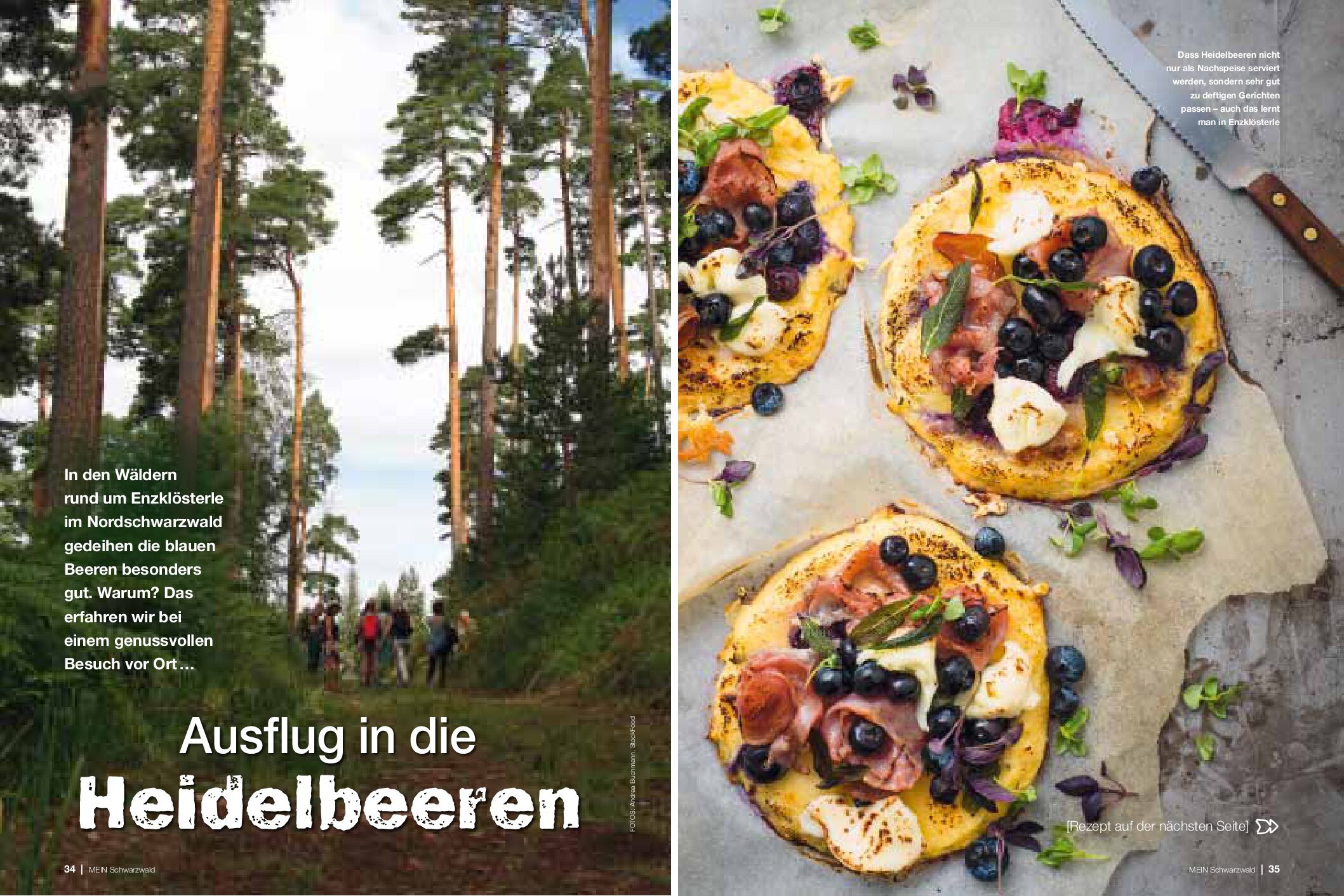 SW181_028037_Heidelbeeren