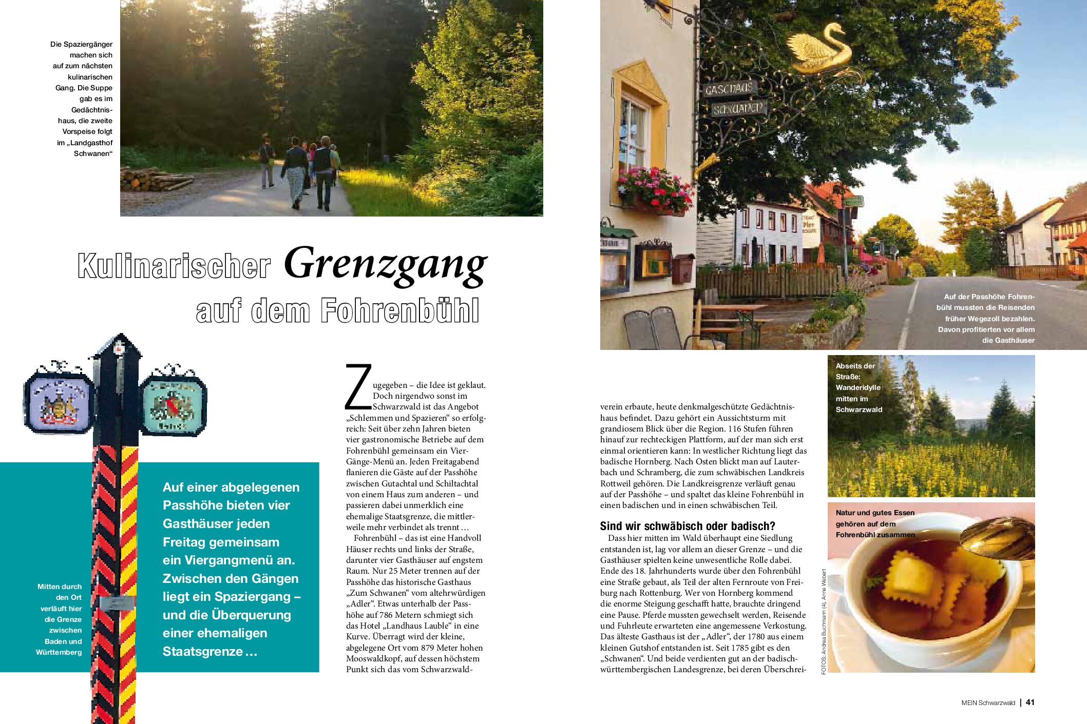 SW182_040043_Fohrenbuehl